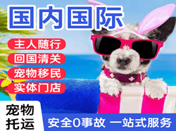 咸阳空运国际宠物托运 【国